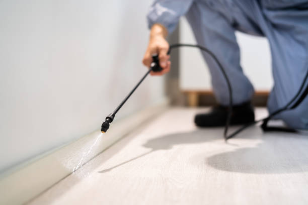 Licensed Termite Control service in Fort Payne, AL - Nex Pest Control