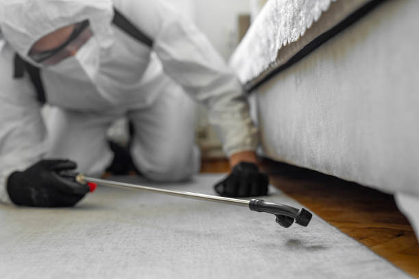 Professional Termite Control technician working in Fort Payne, AL
