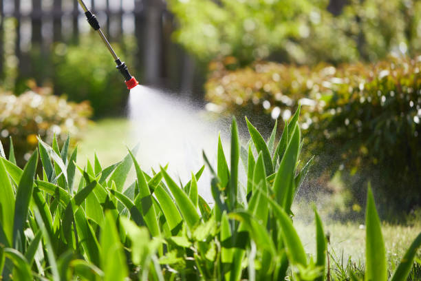 24/7 Emergency Termite Control experts in Fort Payne, AL