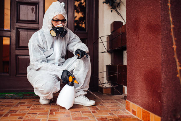 Reliable Termite Control contractor in Fort Payne, AL by Nex Pest Control