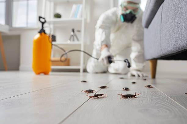 Trusted Termite Control service in Fort Payne, AL - Nex Pest Control