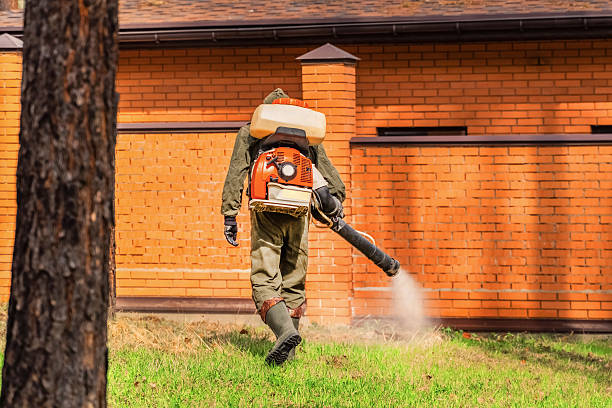 Trusted Emergency Pest Control service in Fort Payne, AL - Nex Pest Control